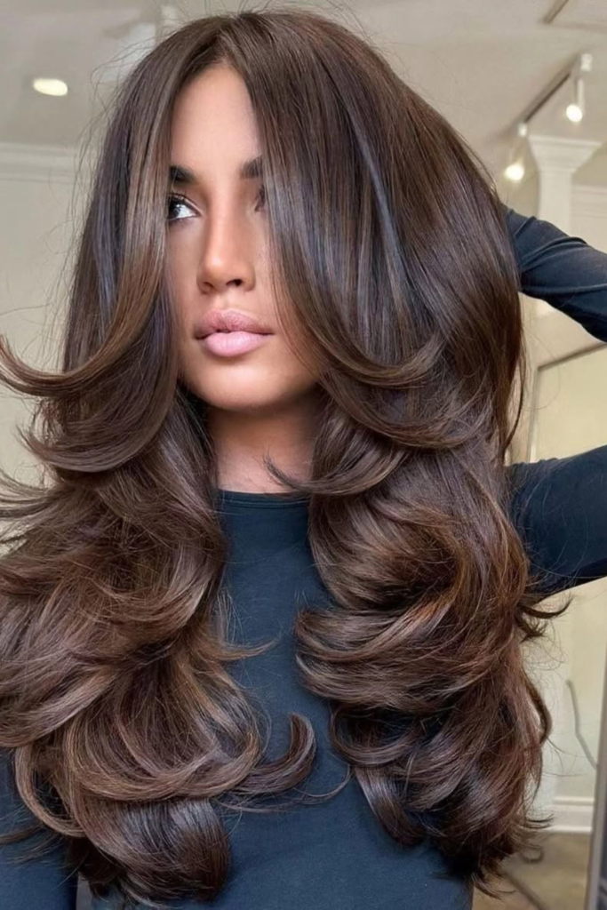 Glossy expensive brunette hair with soft dimension